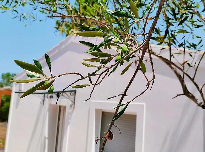 The Old Stables 度假居